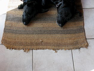 Susan and Lucy