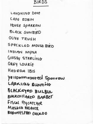 bird list