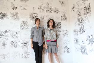 palm drawings and us