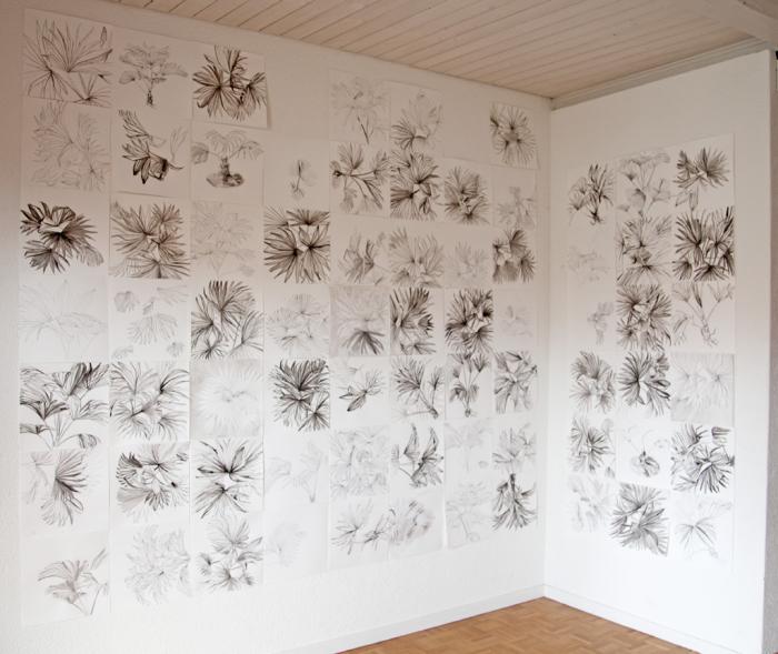 Palm Drawings (Bern Studio)