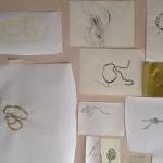 rope drawings (detail 2)