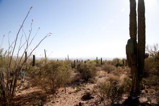 Tucson