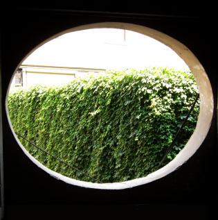window eye
